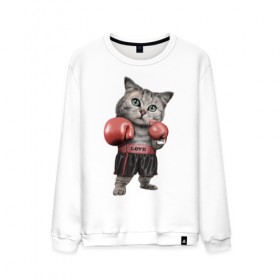 Мужской свитшот хлопок с принтом Кот боксёр в Новосибирске, 100% хлопок |  | боец | бокс | боксёр | кот | котёнок | кошак | кошка | кулак | спорт | шорты