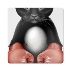 Магнит виниловый Квадрат с принтом Котёнок боксёр в Новосибирске, полимерный материал с магнитным слоем | размер 9*9 см, закругленные углы | Тематика изображения на принте: боец | бокс | боксёр | кот | котёнок | кошак | кошка | кулак | спорт | шорты