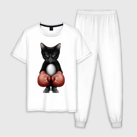 Мужская пижама хлопок с принтом Котёнок боксёр в Новосибирске, 100% хлопок | брюки и футболка прямого кроя, без карманов, на брюках мягкая резинка на поясе и по низу штанин
 | Тематика изображения на принте: боец | бокс | боксёр | кот | котёнок | кошак | кошка | кулак | спорт | шорты