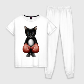 Женская пижама хлопок с принтом Котёнок боксёр в Новосибирске, 100% хлопок | брюки и футболка прямого кроя, без карманов, на брюках мягкая резинка на поясе и по низу штанин | боец | бокс | боксёр | кот | котёнок | кошак | кошка | кулак | спорт | шорты