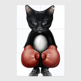 Магнитный плакат 2Х3 с принтом Котёнок боксёр в Новосибирске, Полимерный материал с магнитным слоем | 6 деталей размером 9*9 см | Тематика изображения на принте: боец | бокс | боксёр | кот | котёнок | кошак | кошка | кулак | спорт | шорты
