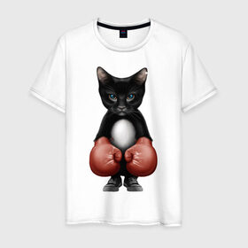 Мужская футболка хлопок с принтом Котёнок боксёр в Новосибирске, 100% хлопок | прямой крой, круглый вырез горловины, длина до линии бедер, слегка спущенное плечо. | боец | бокс | боксёр | кот | котёнок | кошак | кошка | кулак | спорт | шорты
