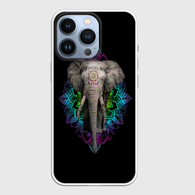 Чехол для iPhone 13 Pro с принтом Индийский Слон в Новосибирске,  |  | africa | elephant | elephants | india | ornament | pattern | skin | tusks | африка | бивни | индия | кожа | орнамент | слон | слоненок | слоник | слоники | слоны | слонята | узор | хобот