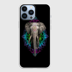Чехол для iPhone 13 Pro Max с принтом Индийский Слон в Новосибирске,  |  | africa | elephant | elephants | india | ornament | pattern | skin | tusks | африка | бивни | индия | кожа | орнамент | слон | слоненок | слоник | слоники | слоны | слонята | узор | хобот