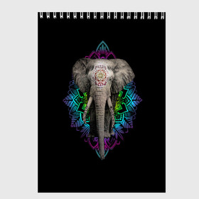 Скетчбук с принтом Индийский Слон в Новосибирске, 100% бумага
 | 48 листов, плотность листов — 100 г/м2, плотность картонной обложки — 250 г/м2. Листы скреплены сверху удобной пружинной спиралью | africa | elephant | elephants | india | ornament | pattern | skin | tusks | африка | бивни | индия | кожа | орнамент | слон | слоненок | слоник | слоники | слоны | слонята | узор | хобот