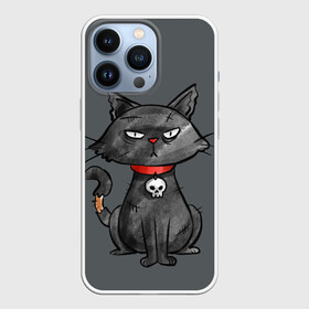 Чехол для iPhone 13 Pro с принтом Кот бедолага в Новосибирске,  |  | кот | череп | черный