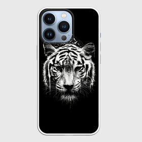 Чехол для iPhone 13 Pro с принтом Dark Tiger в Новосибирске,  |  | africa | creepy | dark | desert | predator | scary | tiger | tigers | африка | жуткий | мрачный | пустыня | страшный | тигр | тигренок | тигрица | тигрицы | тигры | тигрята | хищник