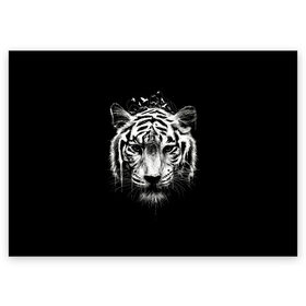 Поздравительная открытка с принтом Dark Tiger в Новосибирске, 100% бумага | плотность бумаги 280 г/м2, матовая, на обратной стороне линовка и место для марки
 | africa | creepy | dark | desert | predator | scary | tiger | tigers | африка | жуткий | мрачный | пустыня | страшный | тигр | тигренок | тигрица | тигрицы | тигры | тигрята | хищник