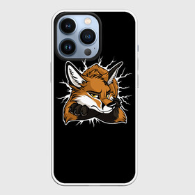 Чехол для iPhone 13 Pro с принтом Лис Уверен в Себе в Новосибирске,  |  | cute | fox | foxes | ginger | tail | забавная | лис | лиса | лисица | лисицы | лисичка | лисички | лисы | милая | рыжая | рыжие | смешная | фыр | хвост | хвосты