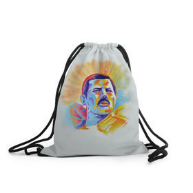 Рюкзак-мешок 3D с принтом Freddie Mercury в Новосибирске, 100% полиэстер | плотность ткани — 200 г/м2, размер — 35 х 45 см; лямки — толстые шнурки, застежка на шнуровке, без карманов и подкладки | freddie mercury | queen | фредди меркьюри