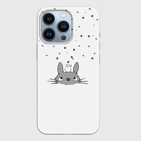Чехол для iPhone 13 Pro с принтом Totoro The Rain в Новосибирске,  |  | аниме | дождь | тоторо