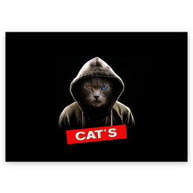 Поздравительная открытка с принтом Кот в Новосибирске, 100% бумага | плотность бумаги 280 г/м2, матовая, на обратной стороне линовка и место для марки
 | cat | глаза | животные | капюшон | кот | котенок | кошка | природа | хулиган