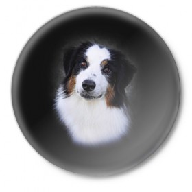 Значок с принтом Собака в Новосибирске,  металл | круглая форма, металлическая застежка в виде булавки | Тематика изображения на принте: голова | животные | мордочка | пес | природа | собака | щенок