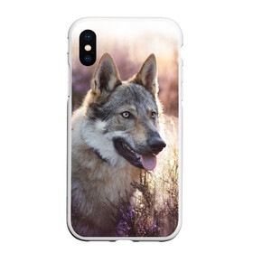 Чехол для iPhone XS Max матовый с принтом Волк в Новосибирске, Силикон | Область печати: задняя сторона чехла, без боковых панелей | dog | взгляд | волк | лайка | собака | хаски