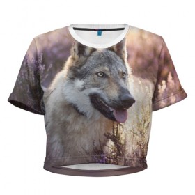 Женская футболка Cropp-top с принтом Волк в Новосибирске, 100% полиэстер | круглая горловина, длина футболки до линии талии, рукава с отворотами | dog | взгляд | волк | лайка | собака | хаски