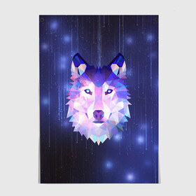 Постер с принтом Космический Волк в Новосибирске, 100% бумага
 | бумага, плотность 150 мг. Матовая, но за счет высокого коэффициента гладкости имеет небольшой блеск и дает на свету блики, но в отличии от глянцевой бумаги не покрыта лаком | poligon | space | star | stars | werewolf | wild | wolf | wolfs | волк | волки | волчата | волченок | волчица | вселенная | дикий | звезда | звезды | космический | космос | луна | оборотень | падающие | полигон | полигоны