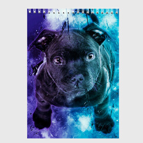 Скетчбук с принтом Милый пёс в Новосибирске, 100% бумага
 | 48 листов, плотность листов — 100 г/м2, плотность картонной обложки — 250 г/м2. Листы скреплены сверху удобной пружинной спиралью | Тематика изображения на принте: dog | бульдог | собака | черный