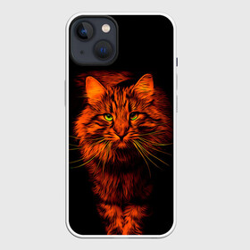 Чехол для iPhone 13 с принтом Рыжий кот в Новосибирске,  |  | cat | кот | котик | кошка | рыжая | рыжий