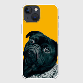 Чехол для iPhone 13 mini с принтом Бульдожка в Новосибирске,  |  | Тематика изображения на принте: бульдог | паг | пес | собака | черный