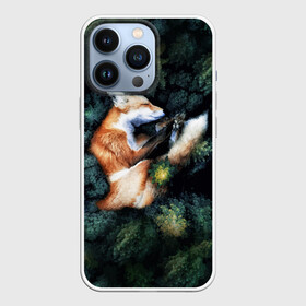 Чехол для iPhone 13 Pro с принтом Лисичка в Лесу в Новосибирске,  |  | core | cute | forest | fox | foxes | ginger | world | деревья | забавная | зелень | кино | лес | лис | лиса | лисица | лисицы | лисичка | лисички | лист | листва | лисы | милая | мира | рыжая | рыжие | сердце | смешная | фильм | фыр