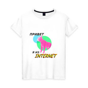Женская футболка хлопок с принтом Привет я из internet в Новосибирске, 100% хлопок | прямой крой, круглый вырез горловины, длина до линии бедер, слегка спущенное плечо | internet | интернет | кот | мем | мемы про котов | надпись | прикол