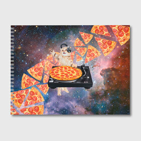 Альбом для рисования с принтом Кот Диджей в Новосибирске, 100% бумага
 | матовая бумага, плотность 200 мг. | cat | cosmos | dj | fast | fastfood | food | meme | party | pizza | space | вечеринка | диджей | еда | космос | кошак | кошка | мем | пицца | фастфуд