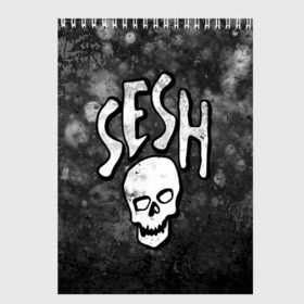 Скетчбук с принтом SESH Team (Bones) в Новосибирске, 100% бумага
 | 48 листов, плотность листов — 100 г/м2, плотность картонной обложки — 250 г/м2. Листы скреплены сверху удобной пружинной спиралью | bones | boy | dead | deadboy | elmo | hdmi | hip | hop | kennedy | metal | rap | rapper | scream | sesh | seshollowaterboyz | skull | team | кеннеди | кости | костя | метал | рэп | рэпер | сеш | скрим | сэш | хип | хоп | череп | элмо