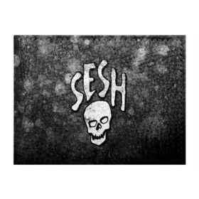 Обложка для студенческого билета с принтом SESH Team (Bones) в Новосибирске, натуральная кожа | Размер: 11*8 см; Печать на всей внешней стороне | Тематика изображения на принте: bones | boy | dead | deadboy | elmo | hdmi | hip | hop | kennedy | metal | rap | rapper | scream | sesh | seshollowaterboyz | skull | team | кеннеди | кости | костя | метал | рэп | рэпер | сеш | скрим | сэш | хип | хоп | череп | элмо