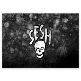 Поздравительная открытка с принтом SESH Team (Bones) в Новосибирске, 100% бумага | плотность бумаги 280 г/м2, матовая, на обратной стороне линовка и место для марки
 | bones | boy | dead | deadboy | elmo | hdmi | hip | hop | kennedy | metal | rap | rapper | scream | sesh | seshollowaterboyz | skull | team | кеннеди | кости | костя | метал | рэп | рэпер | сеш | скрим | сэш | хип | хоп | череп | элмо