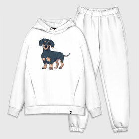 Мужской костюм хлопок OVERSIZE с принтом Такса в Новосибирске,  |  | dachshund | собака | собаки | такса | таксы