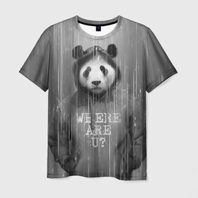 Мужская футболка 3D с принтом Панда в Новосибирске, 100% полиэфир | прямой крой, круглый вырез горловины, длина до линии бедер | дождь | животные | капюшон | кофта | медведь | мишка | панда | природа | хипстер