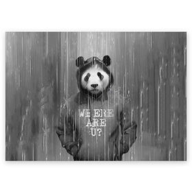 Поздравительная открытка с принтом Панда в Новосибирске, 100% бумага | плотность бумаги 280 г/м2, матовая, на обратной стороне линовка и место для марки
 | дождь | животные | капюшон | кофта | медведь | мишка | панда | природа | хипстер