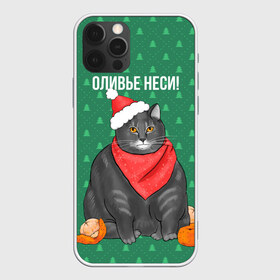 Чехол для iPhone 12 Pro Max с принтом Кот хочет кушот в Новосибирске, Силикон |  | кот | кушот | новый год | оливье | толстый кот