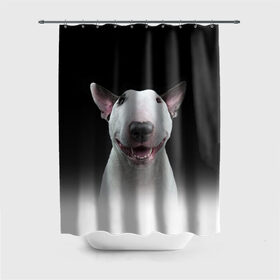 Штора 3D для ванной с принтом Oh snap! в Новосибирске, 100% полиэстер | плотность материала — 100 г/м2. Стандартный размер — 146 см х 180 см. По верхнему краю — пластиковые люверсы для креплений. В комплекте 10 пластиковых колец | bull terrier | dog |   | бультерьер | собака