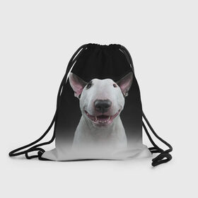 Рюкзак-мешок 3D с принтом Oh snap! в Новосибирске, 100% полиэстер | плотность ткани — 200 г/м2, размер — 35 х 45 см; лямки — толстые шнурки, застежка на шнуровке, без карманов и подкладки | bull terrier | dog |   | бультерьер | собака
