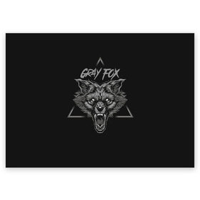 Поздравительная открытка с принтом Серый Лис в Новосибирске, 100% бумага | плотность бумаги 280 г/м2, матовая, на обратной стороне линовка и место для марки
 | Тематика изображения на принте: fox | gray fox | волк | животное | клыки | лиса | оскал | пасть | серый | фокс