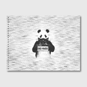 Альбом для рисования с принтом BAD PANDA в Новосибирске, 100% бумага
 | матовая бумага, плотность 200 мг. | bad | bear | panda | медведь | панда