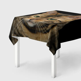 Скатерть 3D с принтом Бенгальский кот в Новосибирске, 100% полиэстер (ткань не мнется и не растягивается) | Размер: 150*150 см | bengal cat | cat | бенгальская кошка | бенгальский | кот | котик | коты | кошки