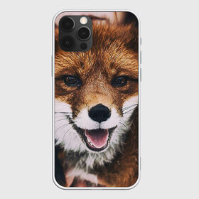 Чехол для iPhone 12 Pro Max с принтом Лисичка в Новосибирске, Силикон |  | Тематика изображения на принте: голова | животные | лиса | мордочка | пасть | природа | рыжая | язык