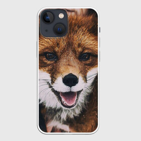 Чехол для iPhone 13 mini с принтом Лисичка в Новосибирске,  |  | Тематика изображения на принте: голова | животные | лиса | мордочка | пасть | природа | рыжая | язык