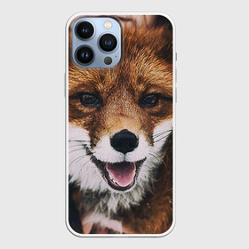 Чехол для iPhone 13 Pro Max с принтом Лисичка в Новосибирске,  |  | Тематика изображения на принте: голова | животные | лиса | мордочка | пасть | природа | рыжая | язык