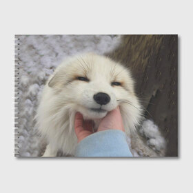 Альбом для рисования с принтом Лисенок в Новосибирске, 100% бумага
 | матовая бумага, плотность 200 мг. | голова | животные | лиса | мордочка | пасть | природа | рыжая | улыбается | улыбка | язык
