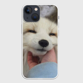 Чехол для iPhone 13 mini с принтом Лисенок в Новосибирске,  |  | Тематика изображения на принте: голова | животные | лиса | мордочка | пасть | природа | рыжая | улыбается | улыбка | язык
