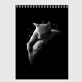 Скетчбук с принтом Спящий Кот на Луне в Новосибирске, 100% бумага
 | 48 листов, плотность листов — 100 г/м2, плотность картонной обложки — 250 г/м2. Листы скреплены сверху удобной пружинной спиралью | Тематика изображения на принте: вселенная | звезды | космос | котейка | котенок | котэ | котя | лапочка | луна | милый | мимими | ночь | прелесть | сон | спутник