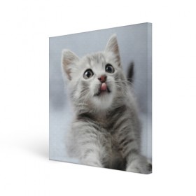 Холст квадратный с принтом Котенок в Новосибирске, 100% ПВХ |  | голова | животные | кот | котенок | котик | кошка | мордочка | природа | язык