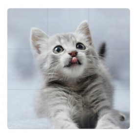 Магнитный плакат 3Х3 с принтом Котенок в Новосибирске, Полимерный материал с магнитным слоем | 9 деталей размером 9*9 см | Тематика изображения на принте: голова | животные | кот | котенок | котик | кошка | мордочка | природа | язык