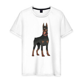 Мужская футболка хлопок с принтом Доберман в Новосибирске, 100% хлопок | прямой крой, круглый вырез горловины, длина до линии бедер, слегка спущенное плечо. | doberman | dobermann | dog | доберман | собака | собаки