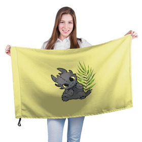 Флаг 3D с принтом ночная фурия в Новосибирске, 100% полиэстер | плотность ткани — 95 г/м2, размер — 67 х 109 см. Принт наносится с одной стороны | night fury | беззубик | дракон | как приручить дракона | ночная фурия