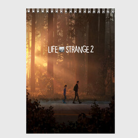 Скетчбук с принтом Life is Strange в Новосибирске, 100% бумага
 | 48 листов, плотность листов — 100 г/м2, плотность картонной обложки — 250 г/м2. Листы скреплены сверху удобной пружинной спиралью | caulfield | chloe price | game | kate marsh | life | life is strange | life is strange: before the storm | max | strange | две луны | игры | кейт марш | колфилд | макс | подростки | студенты