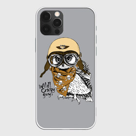Чехол для iPhone 12 Pro Max с принтом Wild! Сrazy guy! в Новосибирске, Силикон |  | wild сrazy guy дикий | бандана | взгляд | графика | искусство | картинка | каска | коричневый | кости | крутой | лучший | мода | модный | молодёжная | очки | пилот | платок | птица | рисунок | серый | сова